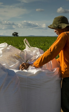 Fertilizantes Potássicos